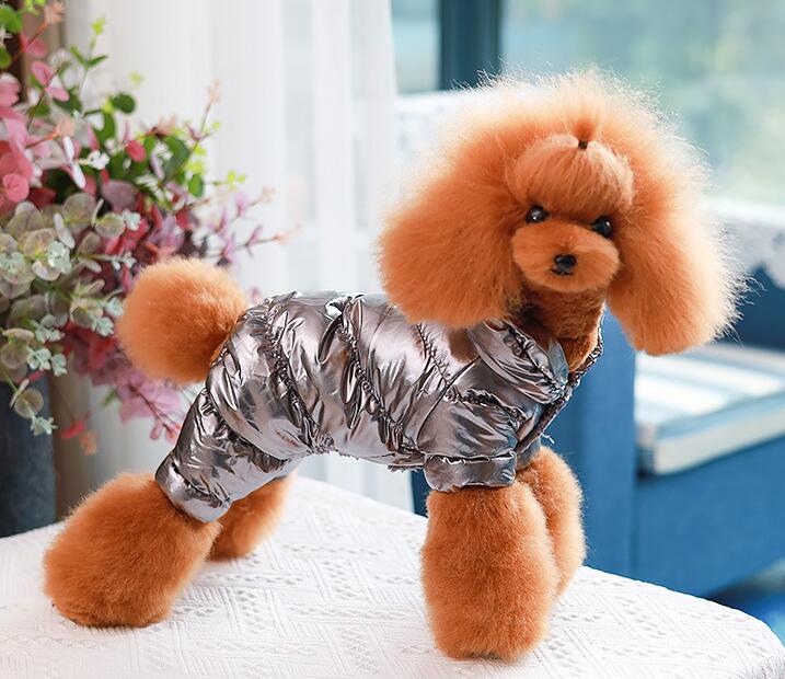Pet Coat Clothes Winter for Small Dogs Chihuahua French Bulldog Manteau Chien Clothing Christmas Halloween Costume