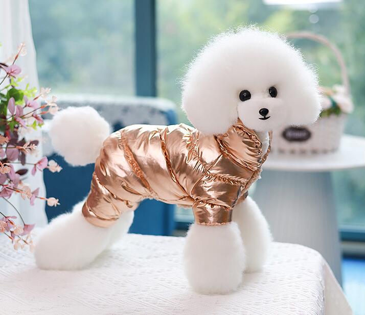 Pet Coat Clothes Winter for Small Dogs Chihuahua French Bulldog Manteau Chien Clothing Christmas Halloween Costume