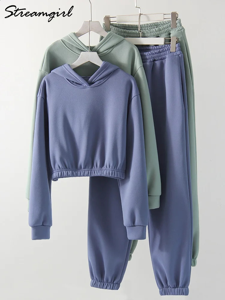 Thick Fleece Cropped Hoodie And Pants Set Women Autumn Warm Sweatpant 2 Piece Set Outfit Velvet Track Suit For Women Winter Blue 240918