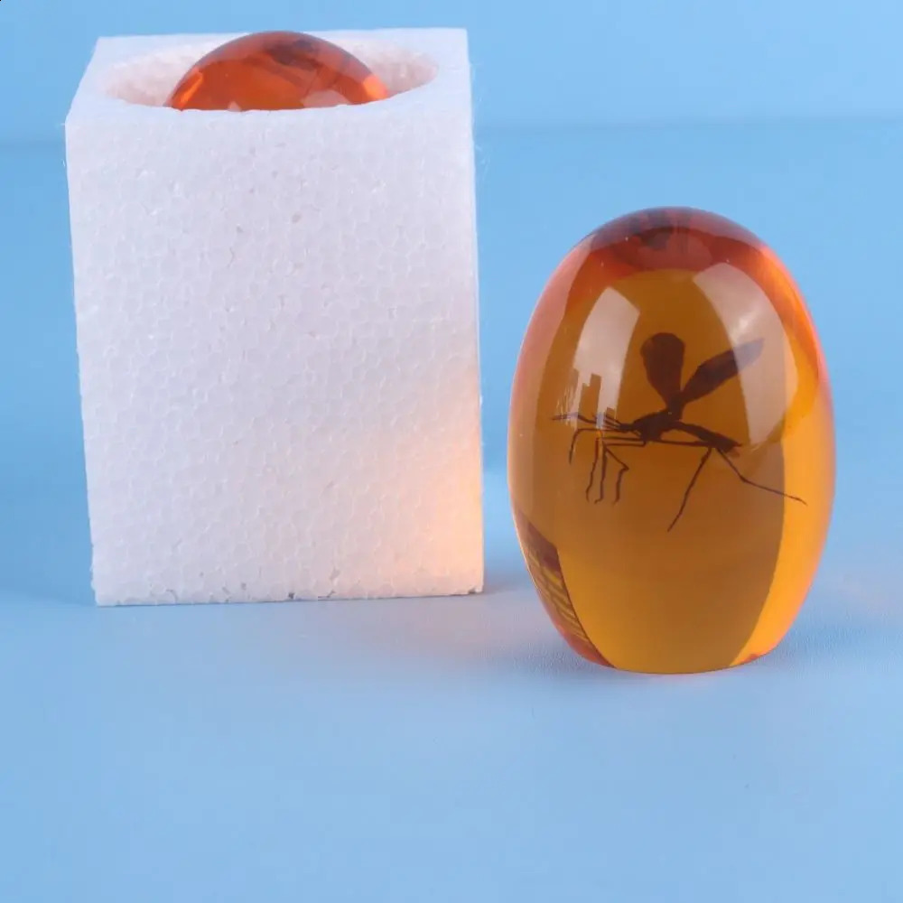3D Mosquito Amber Collection PaperweightUnique Realistic Flat Bottom Shaper Weight for Home Desk Decor Ornament 240920