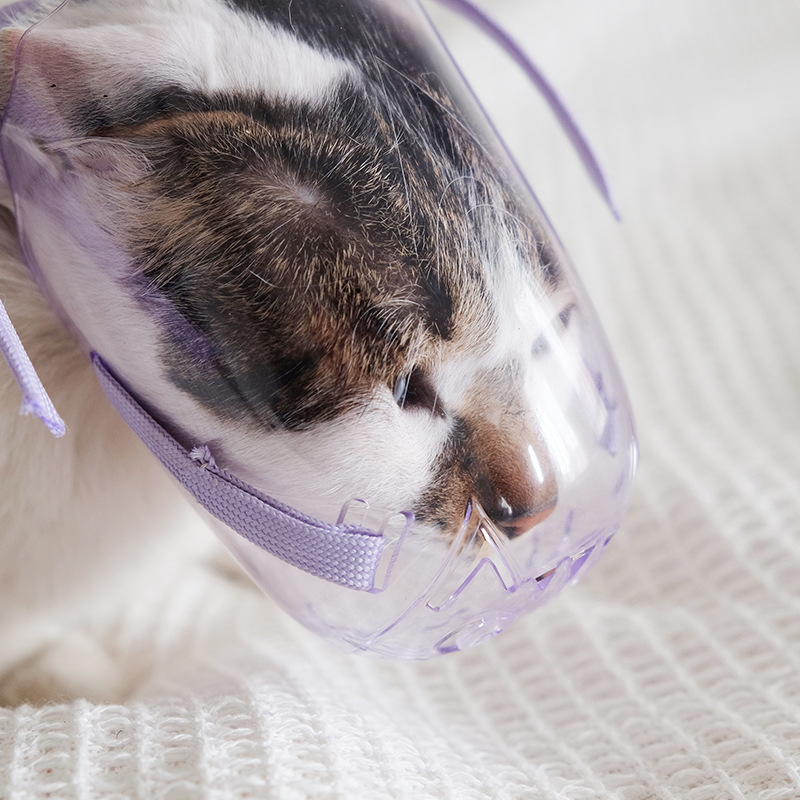 Animal Rescue Donation Pet supplies Hot selling cat face mask anti bite mask cat bath bag injection cat collar headband OPP installation