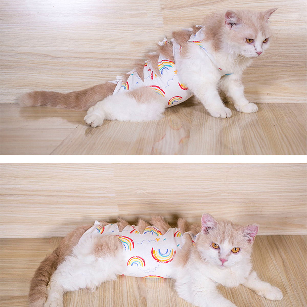 Halloween Pet supplies New strap style sterilization suit cat sterilization suit surgical suit weaning suit cotton breathable postoperative suit