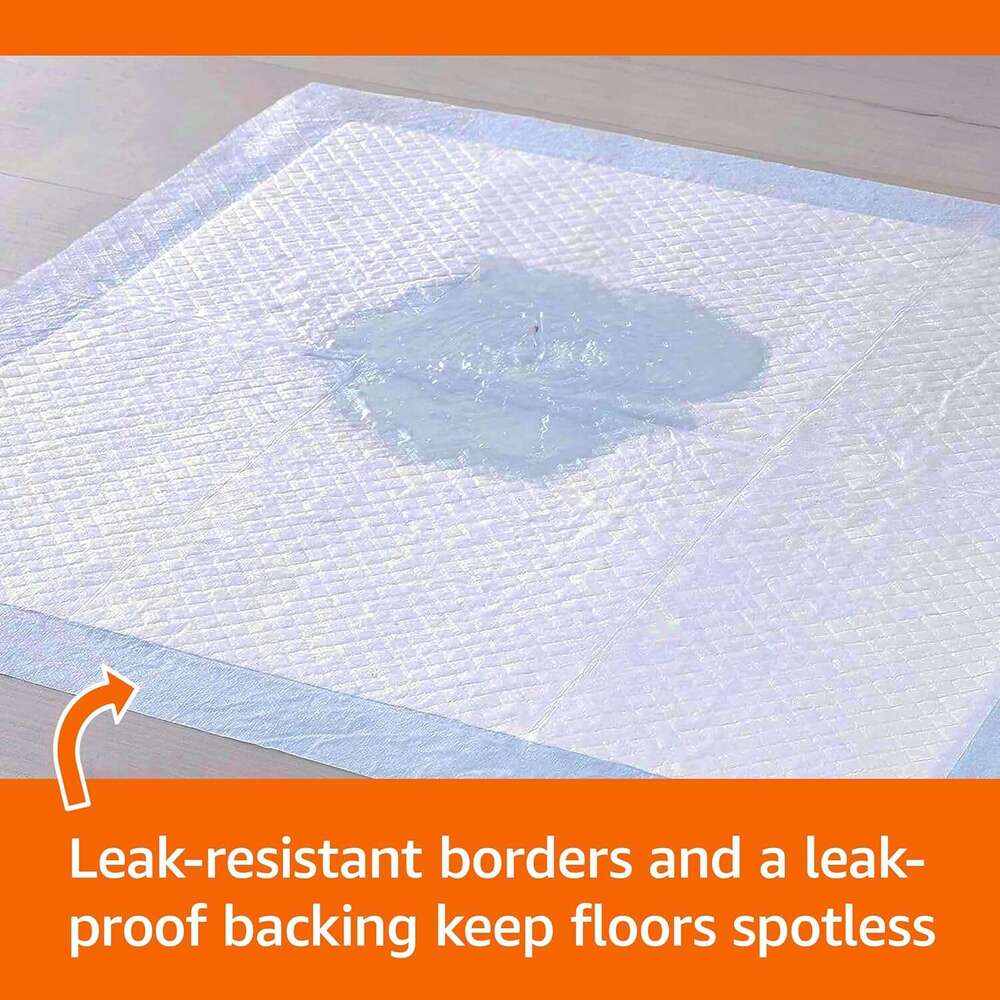 Basics Dog and Puppy Pee Pads with Leak-Proof Quick-Dry Design for Potty Training, Standard Absorbency, Regular SA22
