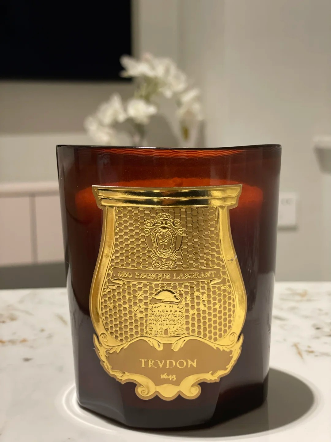 Scented Candle Cire Trudon cup scented candle Home plaster aromatherapy decoration 270gSoy wax Fragrance cup Candles not included CL250121