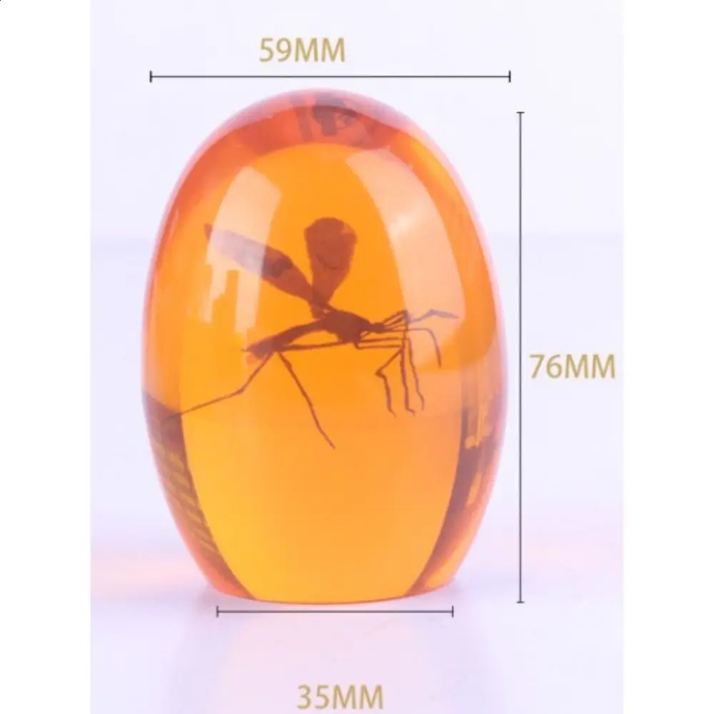 3D Mosquito Amber Collection PaperweightUnique Realistic Flat Bottom Shaper Weight for Home Desk Decor Ornament 240920