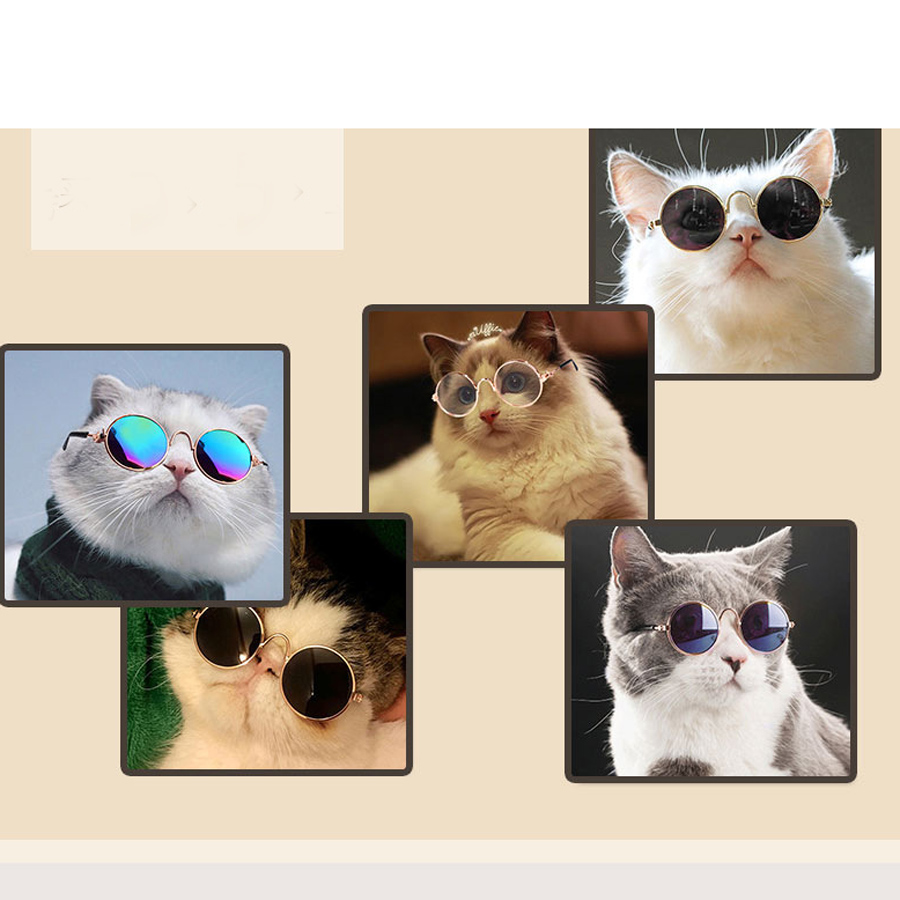 New Arrival Pet Glasses Different Colors Cute Dog Small Sunglasses For Puppy Take Photos Free Shipping