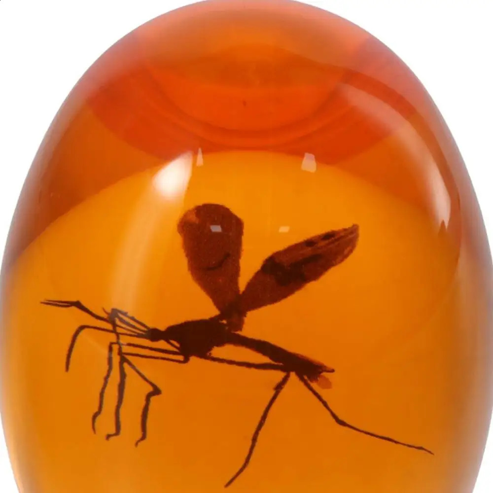 3D Mosquito Amber Collection PaperweightUnique Realistic Flat Bottom Shaper Weight for Home Desk Decor Ornament 240920