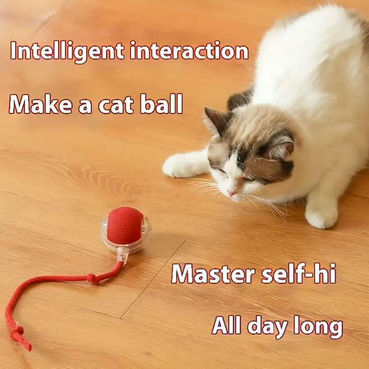 Interactive Cat Toys Ball for Indoor Cats Fast Rolling on Carpet, Chirping & Motion Activate Cat Toys (Red)
