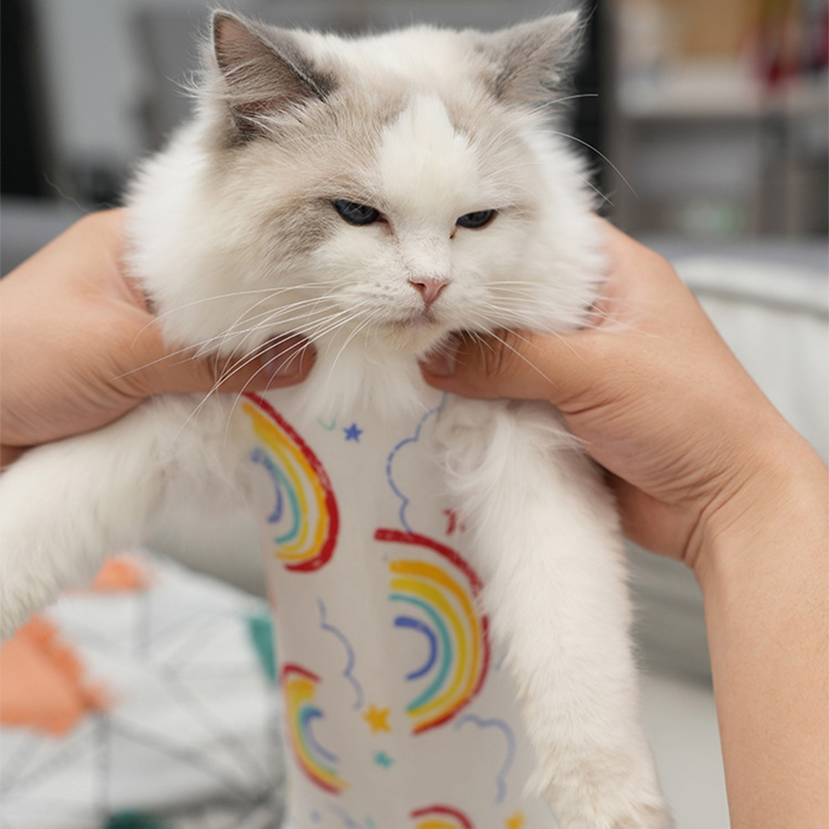 Halloween Pet supplies New strap style sterilization suit cat sterilization suit surgical suit weaning suit cotton breathable postoperative suit