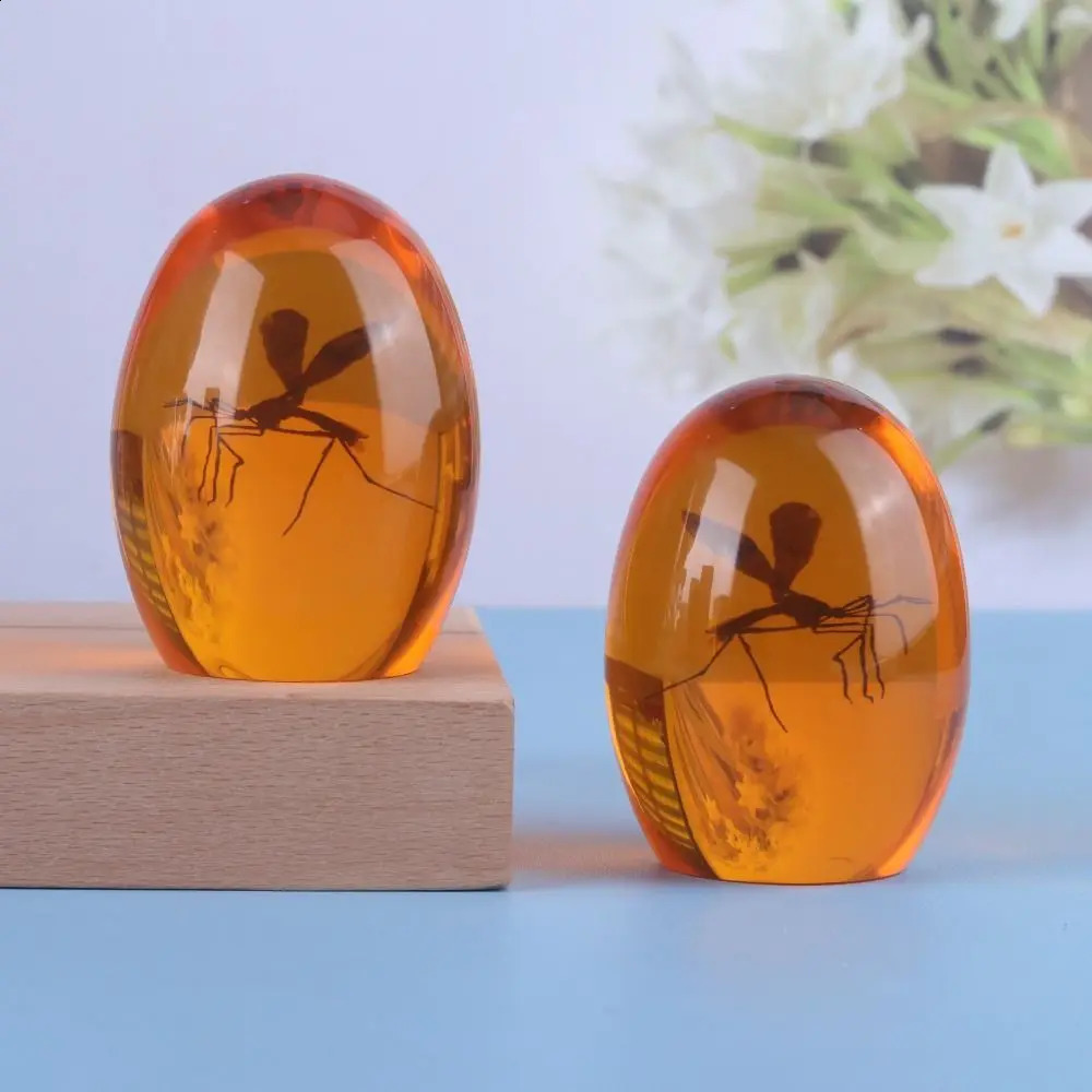 3D Mosquito Amber Collection PaperweightUnique Realistic Flat Bottom Shaper Weight for Home Desk Decor Ornament 240920