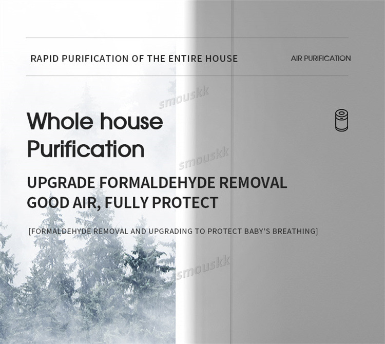 Air Purifier To Remove Smoke Odor Household Air Purifier Usb To Remove Formaldehyde Negative Ions Indoor Odor