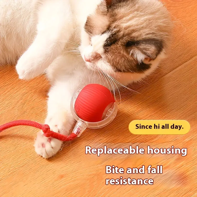 Interactive Cat Toys Ball for Indoor Cats Fast Rolling on Carpet, Chirping & Motion Activate Cat Toys (Red)