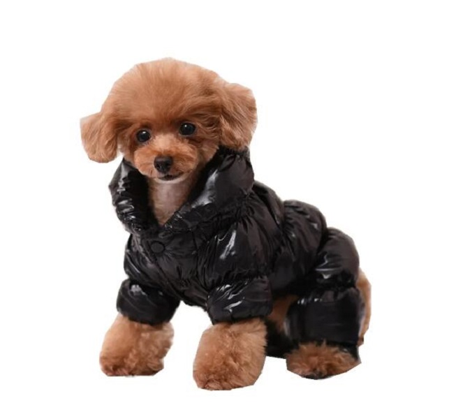 Pet Coat Clothes Winter for Small Dogs Chihuahua French Bulldog Manteau Chien Clothing Christmas Halloween Costume