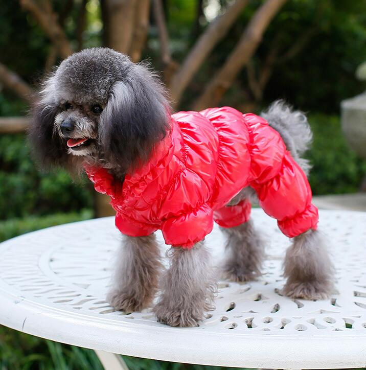 Pet Coat Clothes Winter for Small Dogs Chihuahua French Bulldog Manteau Chien Clothing Christmas Halloween Costume
