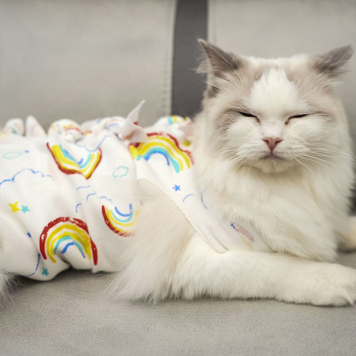 Halloween Pet supplies New strap style sterilization suit cat sterilization suit surgical suit weaning suit cotton breathable postoperative suit