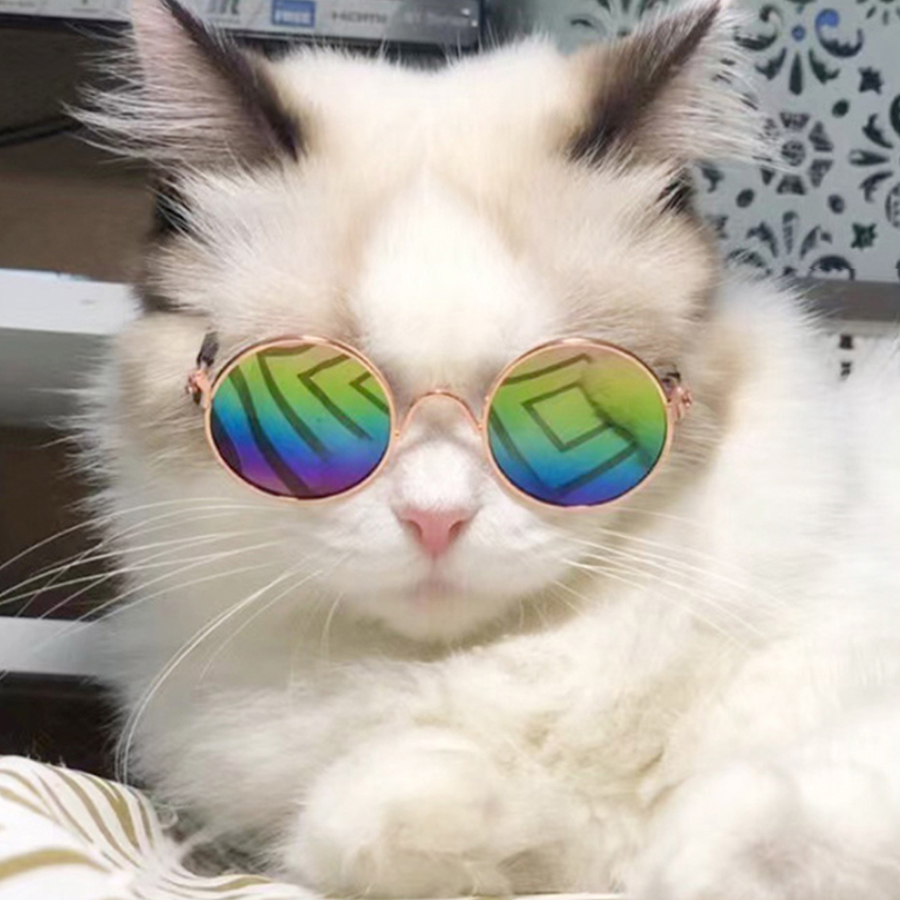 New Arrival Pet Glasses Different Colors Cute Dog Small Sunglasses For Puppy Take Photos Free Shipping