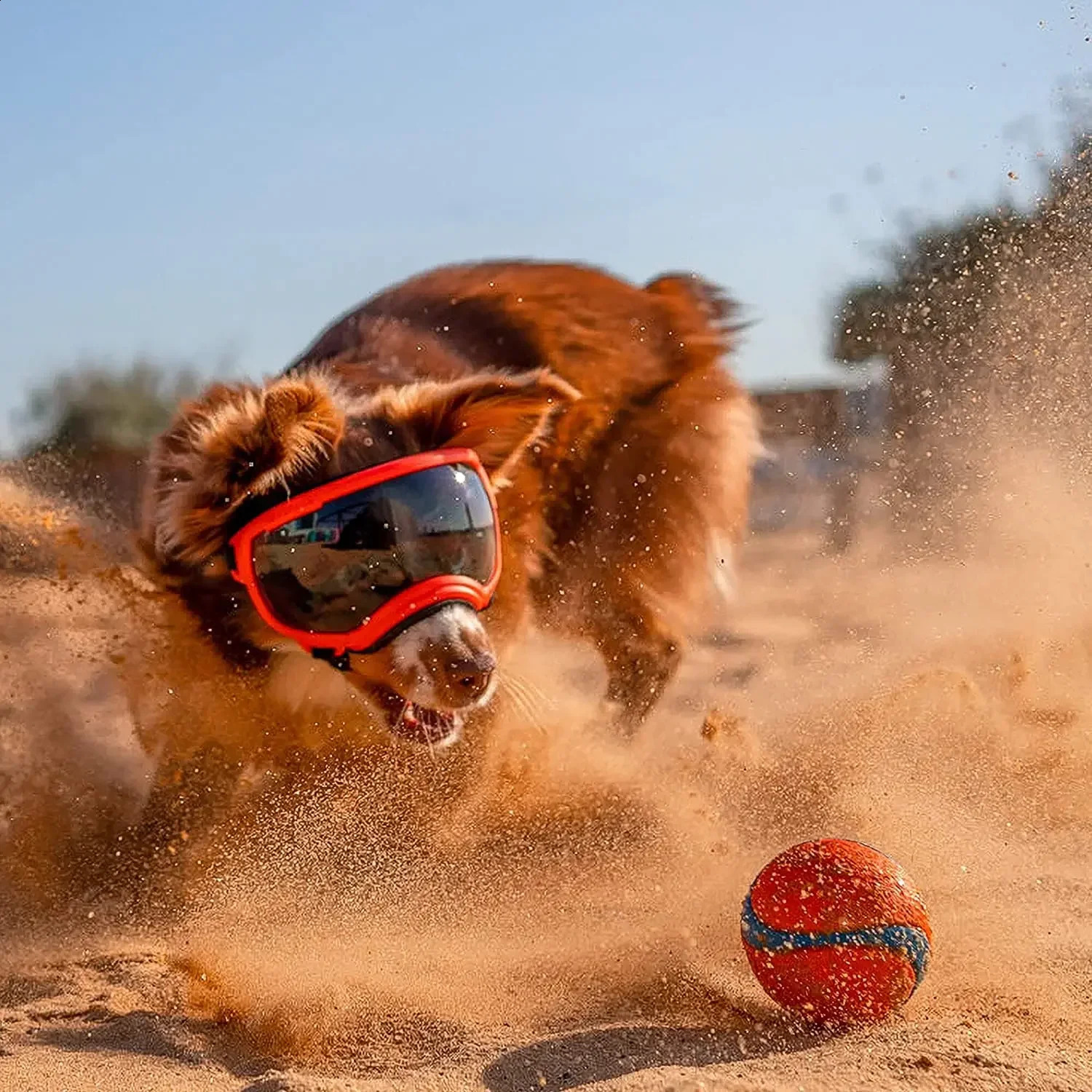 ATUBAN dog goggles pet glasses UV resistant strong impact resistant adjustable for small dogs large variety goggles breathable pet sunglasses 240923