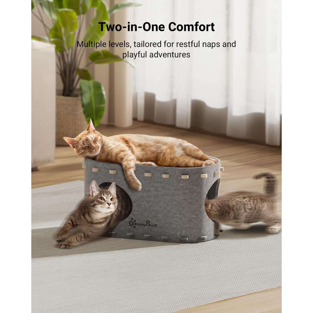 Indoor house, suitable for multiple cats and large cats, 22 pounds (about 10 kilograms), scratch resistant hole, foldable cat tunnel enclosed bed