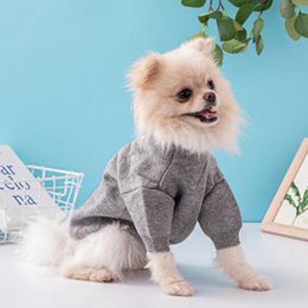 Apparel Stylish Winter Dog Coat Designer Pet Sweater for Small and Medium Dogs Letter