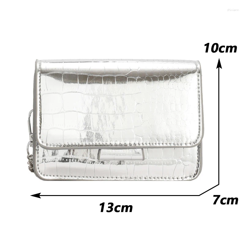 2025S designer Sier Leather Tote handbag Small Chic Crossbody Bag for Women handbag shoulder women crossbody bag