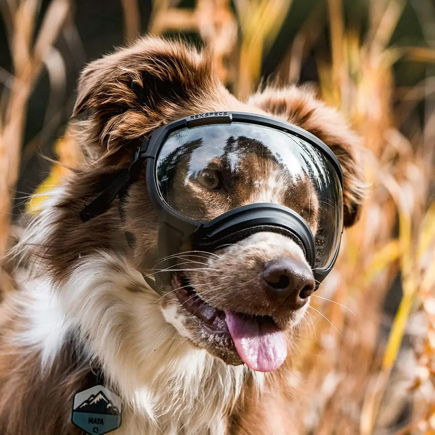 ATUBAN dog goggles pet glasses UV resistant strong impact resistant adjustable for small dogs large variety goggles breathable pet sunglasses 240923