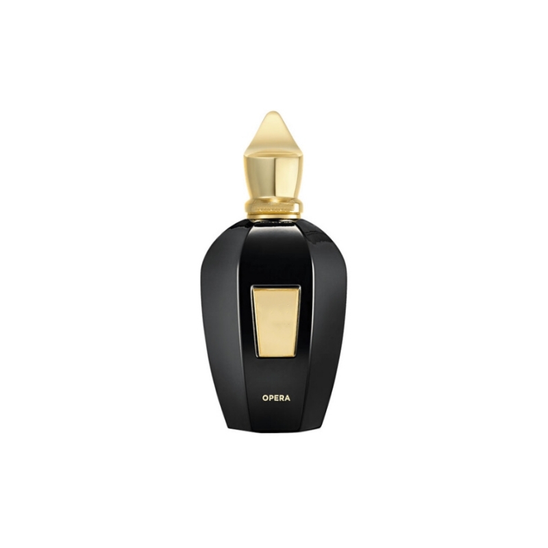 All match New Perfume Parfums Tony lommi Monkey Special 100ml Man Women Fragrance Eau De Parfum Long Lasting Smell Neutral Unisex Spray Cologne for me