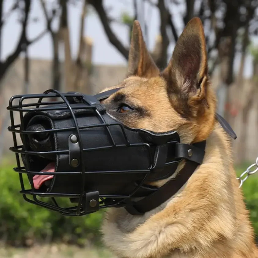 Anti bite dog training for German Shepherd Doberman and Rottweiler sniffer dogs mouth cage mask dog tactical impact metal mouth 240923