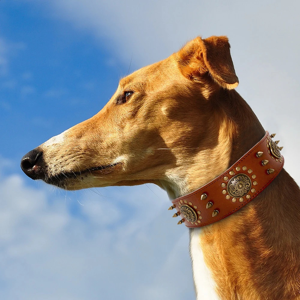Leather large dog collars bulldog pointed stud collars suitable for medium-sized large dogs genuine leather durable pet collars brown 240923