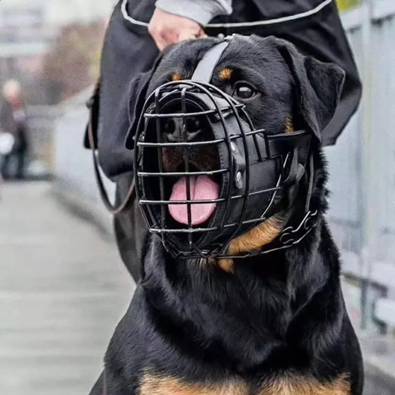 Anti bite dog training for German Shepherd Doberman and Rottweiler sniffer dogs mouth cage mask dog tactical impact metal mouth 240923
