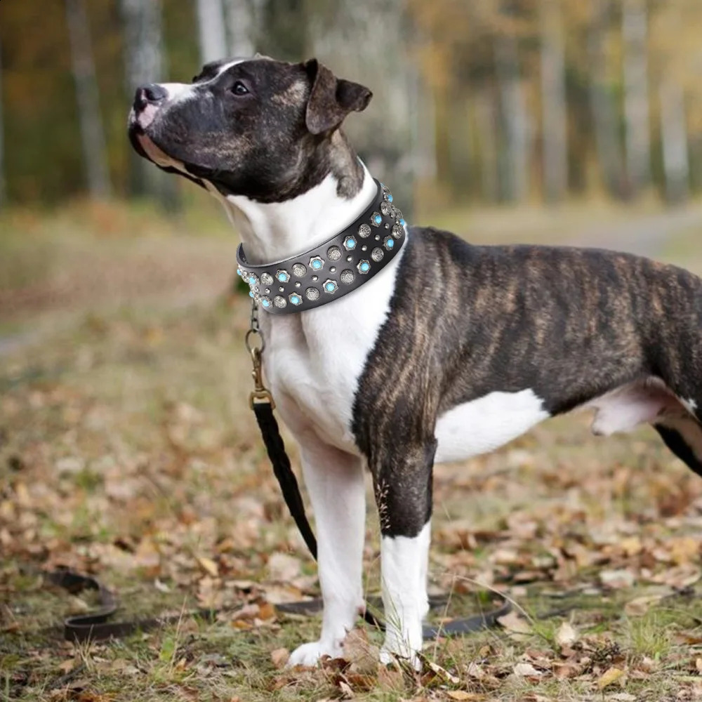 Leather large dog collar 2-inch wide diamond dog collar durable spike pet necklace suitable for medium and large dogs bullfighting 240923