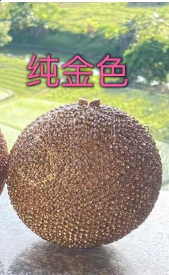 Female Mini Shining Multi Chain Birthday Bags Party Rhinestone Evening Bags Ladies Chain Bags Female Soiree Clutch Bag 240926