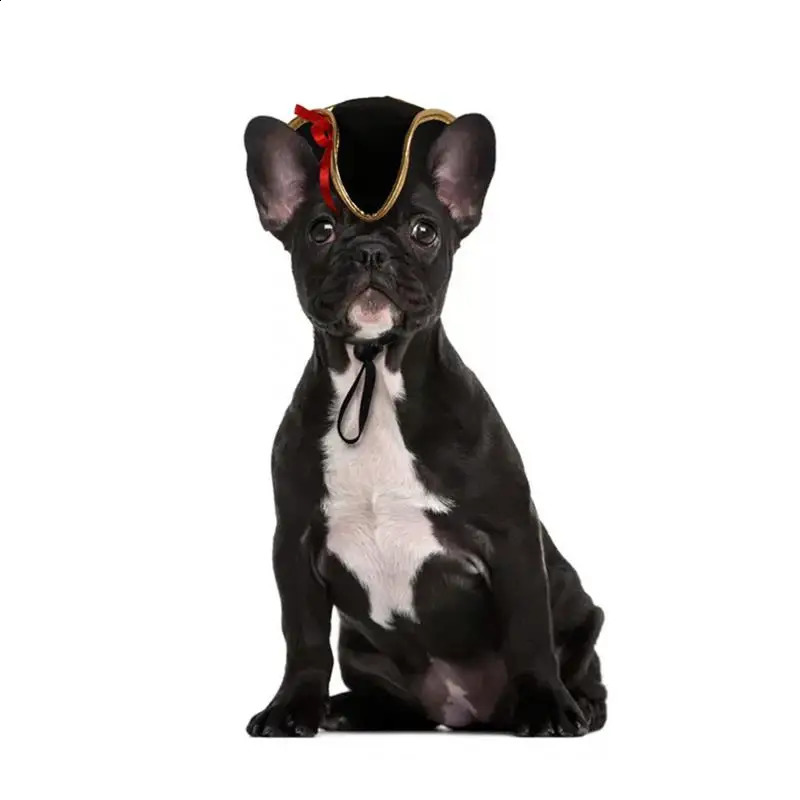 2025 new Halloween pet pirate hat decoration dog roleplaying puppy head wearing costume cat 240929