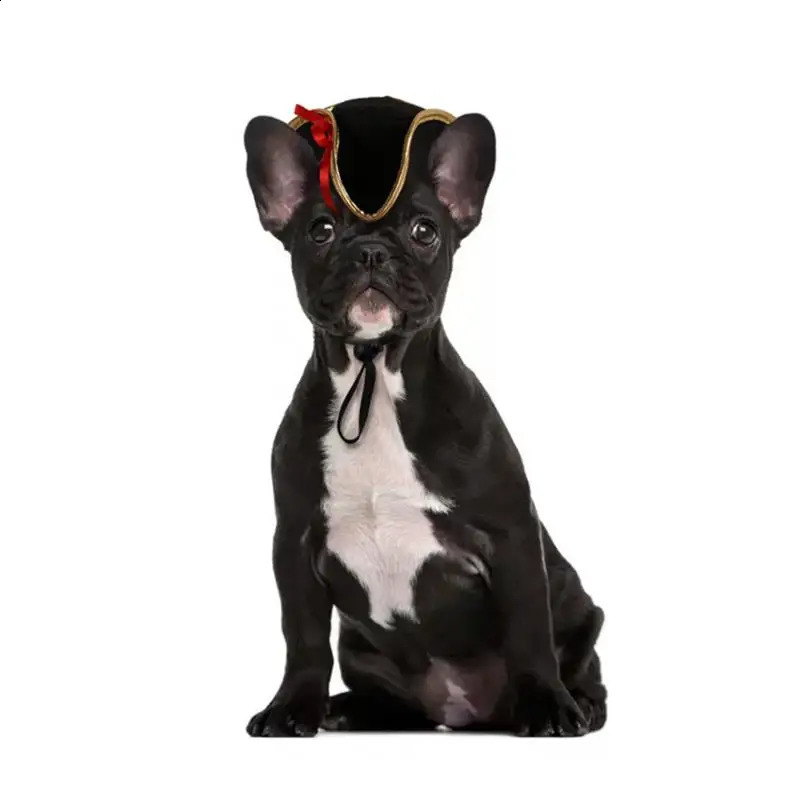 2025 new Halloween pet pirate hat decoration dog roleplaying puppy head wearing costume cat 240929