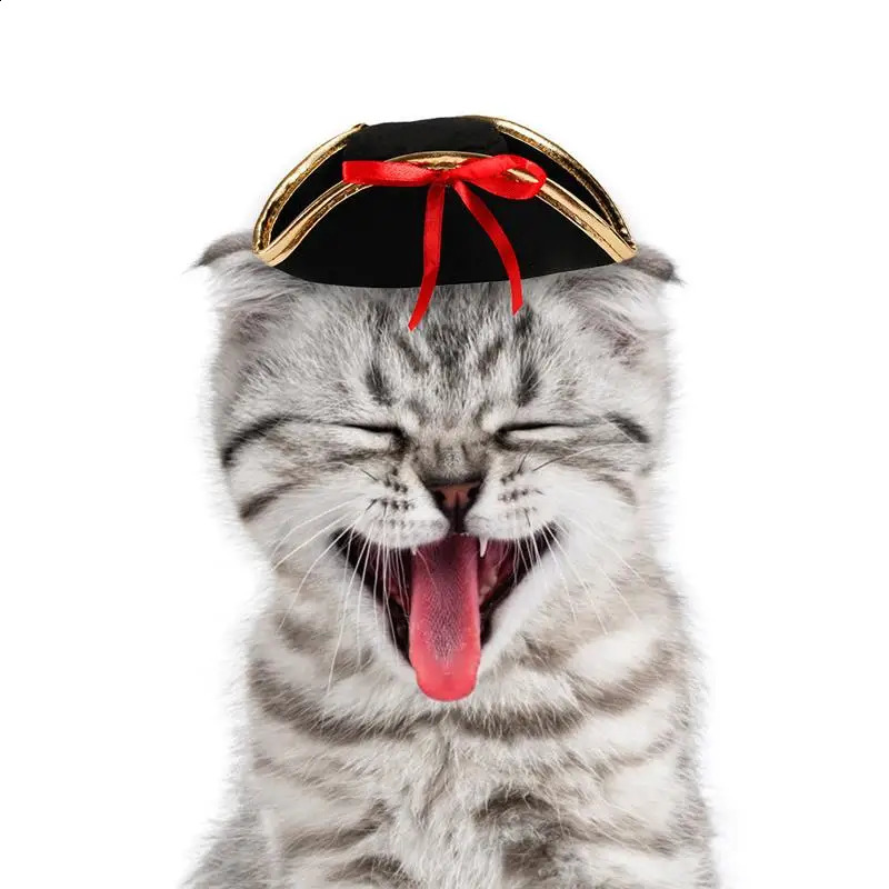2025 new Halloween pet pirate hat decoration dog roleplaying puppy head wearing costume cat 240929