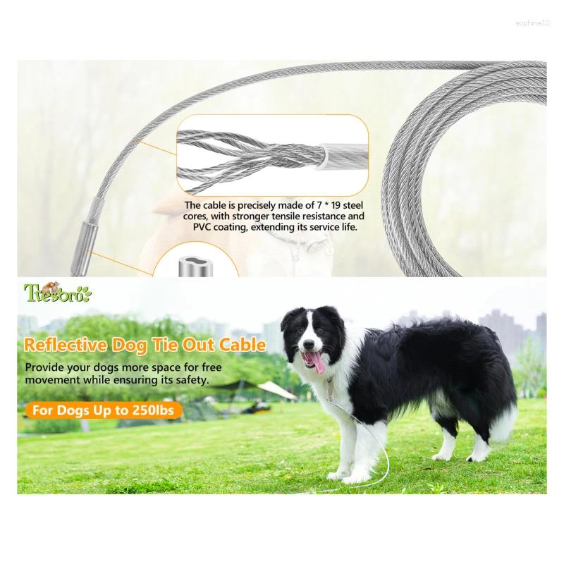 Outdoor Pet Leash With Dog Fixed Pile Metal Screw Stake For Camping Garden Ground Dogs Leads Leashes Set