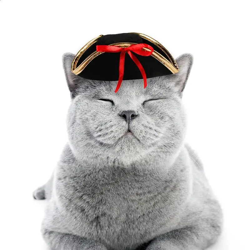 2025 new Halloween pet pirate hat decoration dog roleplaying puppy head wearing costume cat 240929