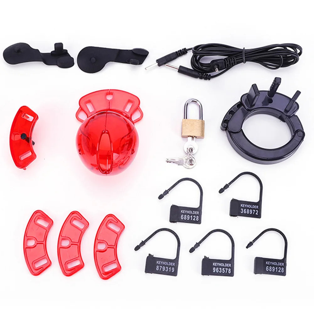 SM Electric Shock Chastity CB6000 Cock Cage Penis Lock Sleeve Scrotum Bound Delay Ring Electro Stimulate Man Sex Toy Accessories 240102