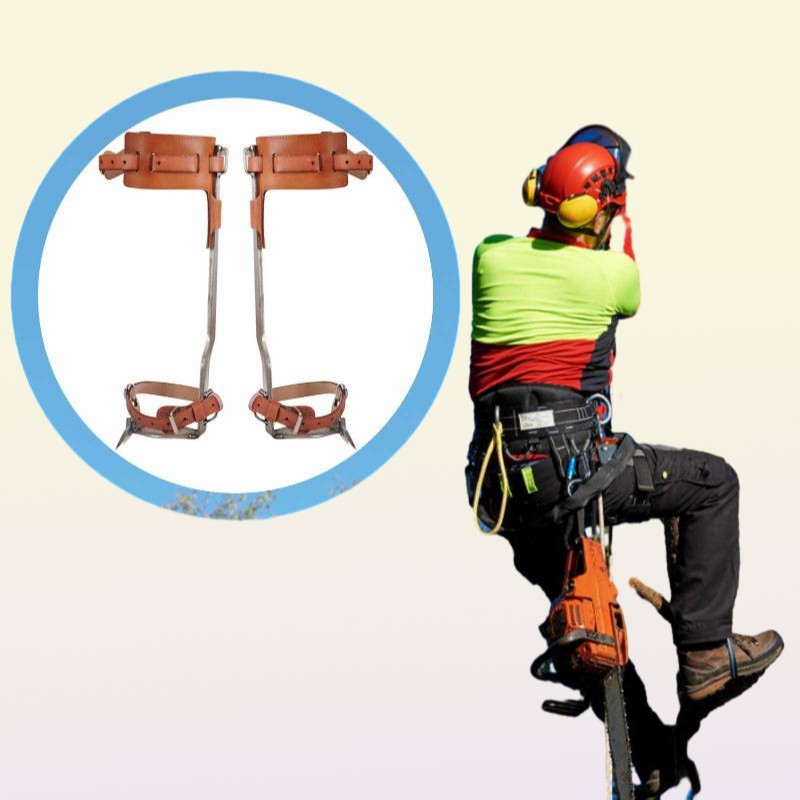 Cords Slings And Webbing Tree Climbing Spikes Tools For Trees NonSlip Equipment Suitable HighAltitude Logging Fruit Picking8229536