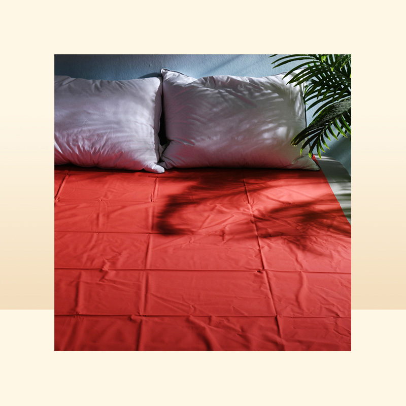 Waterproof Bed Sheet PVC Plastic Adult Sex Sexy Game Hypoallergenic Mattress Cover Full Queen King Bedding 2207081204991