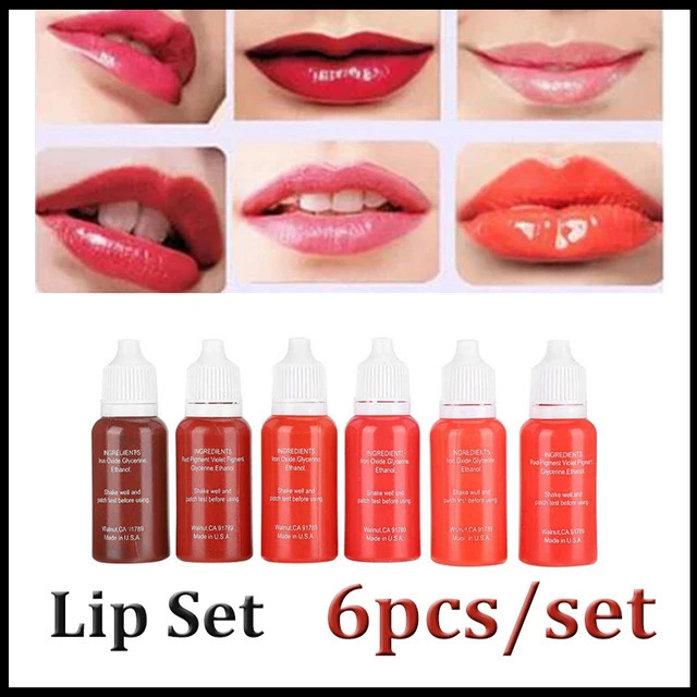 15ml 6pcs Tattoo Ink Set Permanent Makeup Eyebrow Lips Eyeline Tattoo Color Microblading Pigment Body Beauty Tattoo Art Supplies 240108