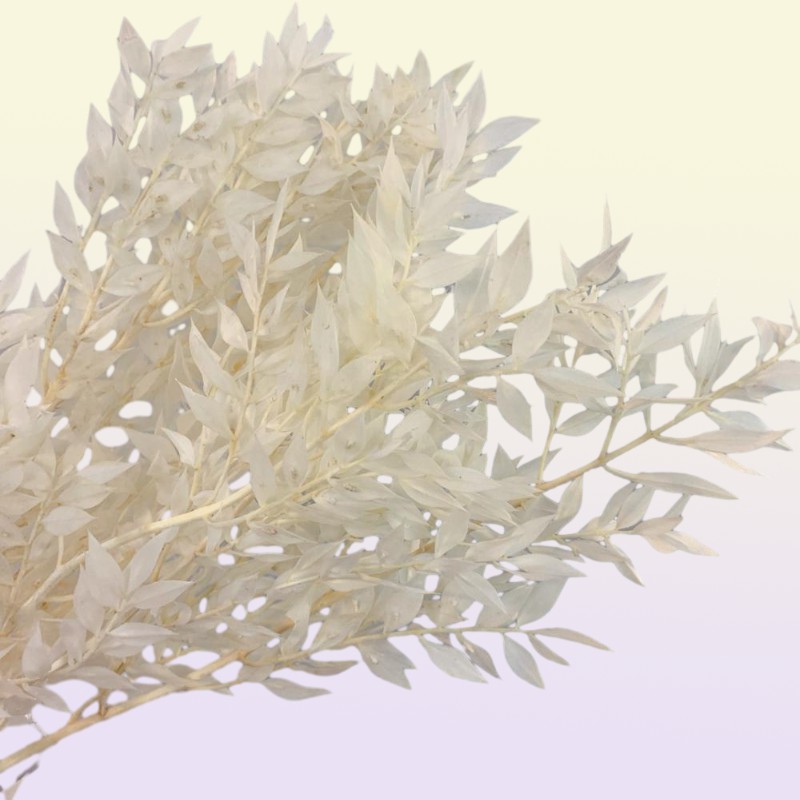 40gramlot natrual dried flower bamboo leaf DIY material 2012224394915