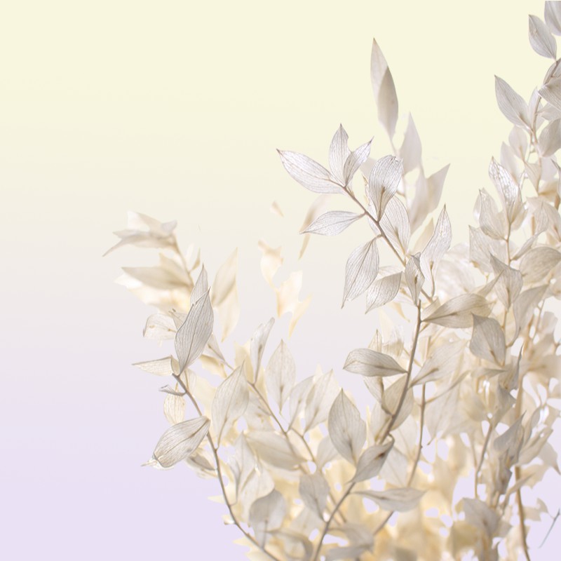 40gramlot natrual dried flower bamboo leaf DIY material 2012224394915