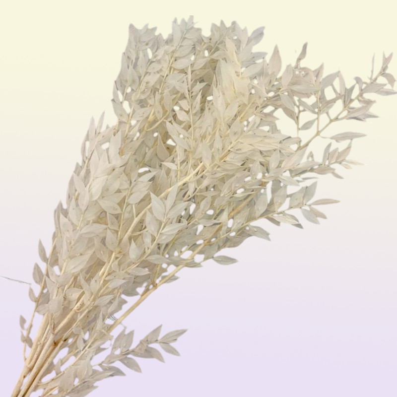 40gramlot natrual dried flower bamboo leaf DIY material 2012224394915