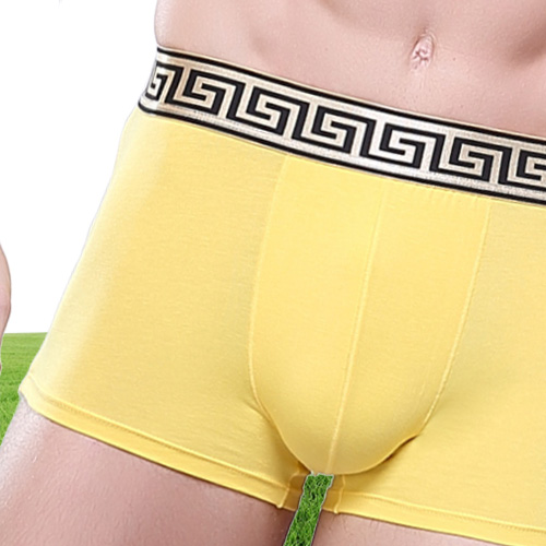 Underwear Soft Breathable Health Big Scrotum Men Underware Pouch Pack Shorts Clothes China Boxers Cheeky Cotton Solid AM556 5xl7987972
