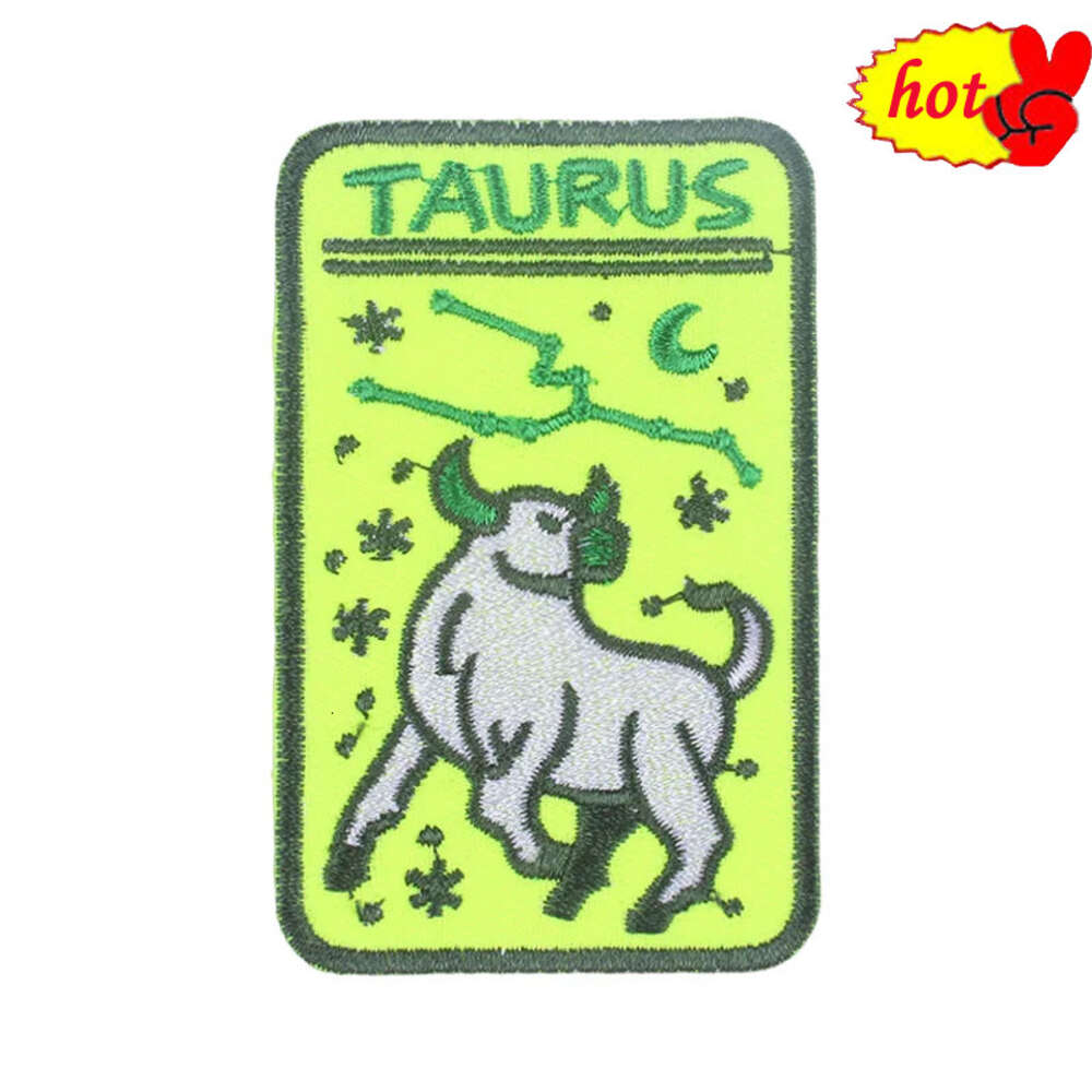 Constellation Patches for Clothing Kids Sew Iron on Stripes Animals Girl Boys Cute Designer Anime Embroidered Backpack Jacket a