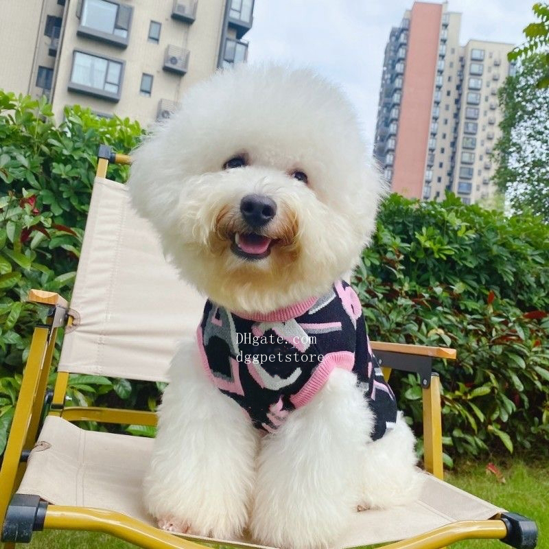 Designer Clothes Brands Apparel Sweet Style Warm Dog Sweater Knitted Cold Weather Pets Coats Cat Sweatshirt Pullover Costume for Schnauzer Bichon Pood