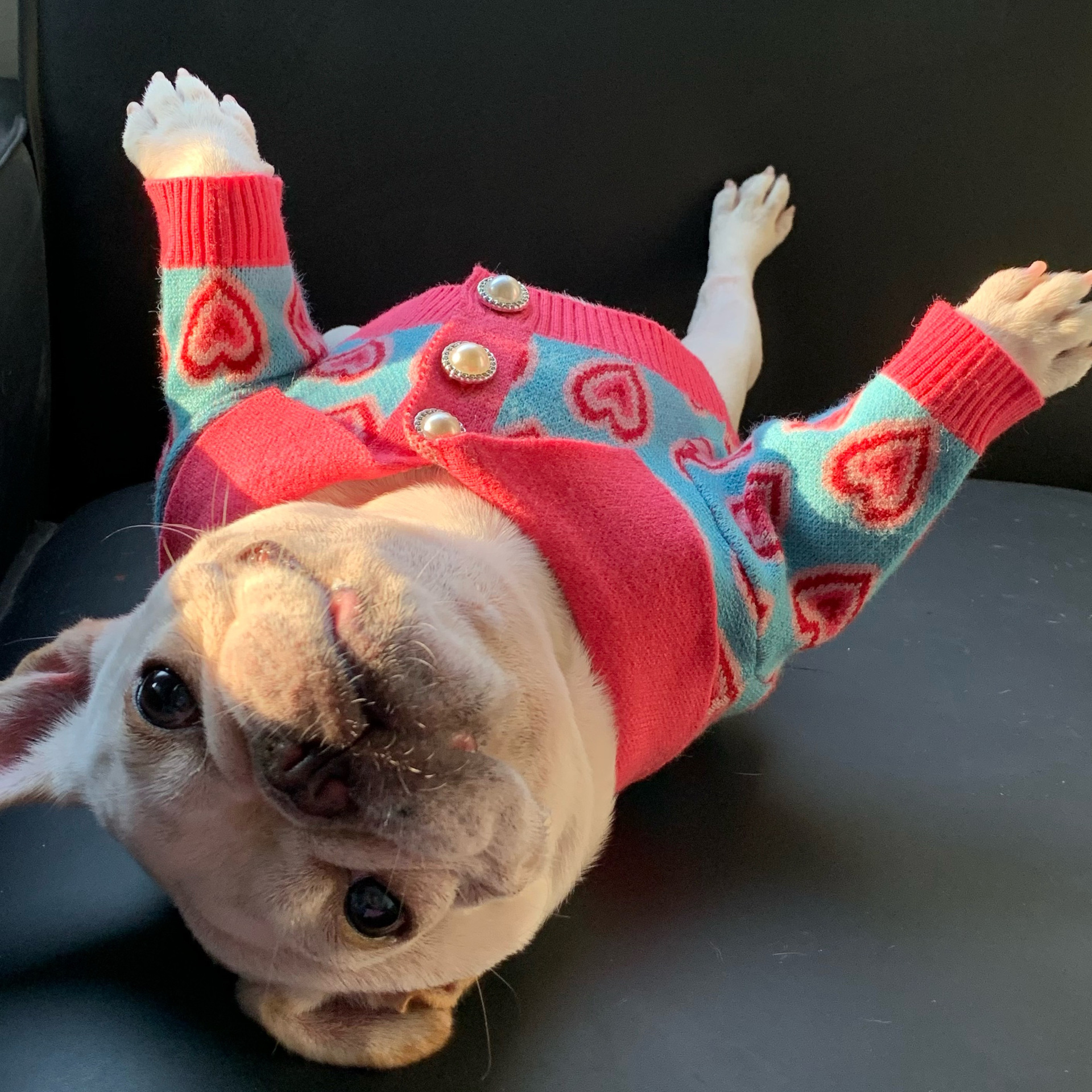 free shipping Sweaters Valentines Day Red Heart Winter Dog Apparel Puppy Sweater Warm Soft Pet Holiday Clothes for Small Cats and Dogs French Bulldog 