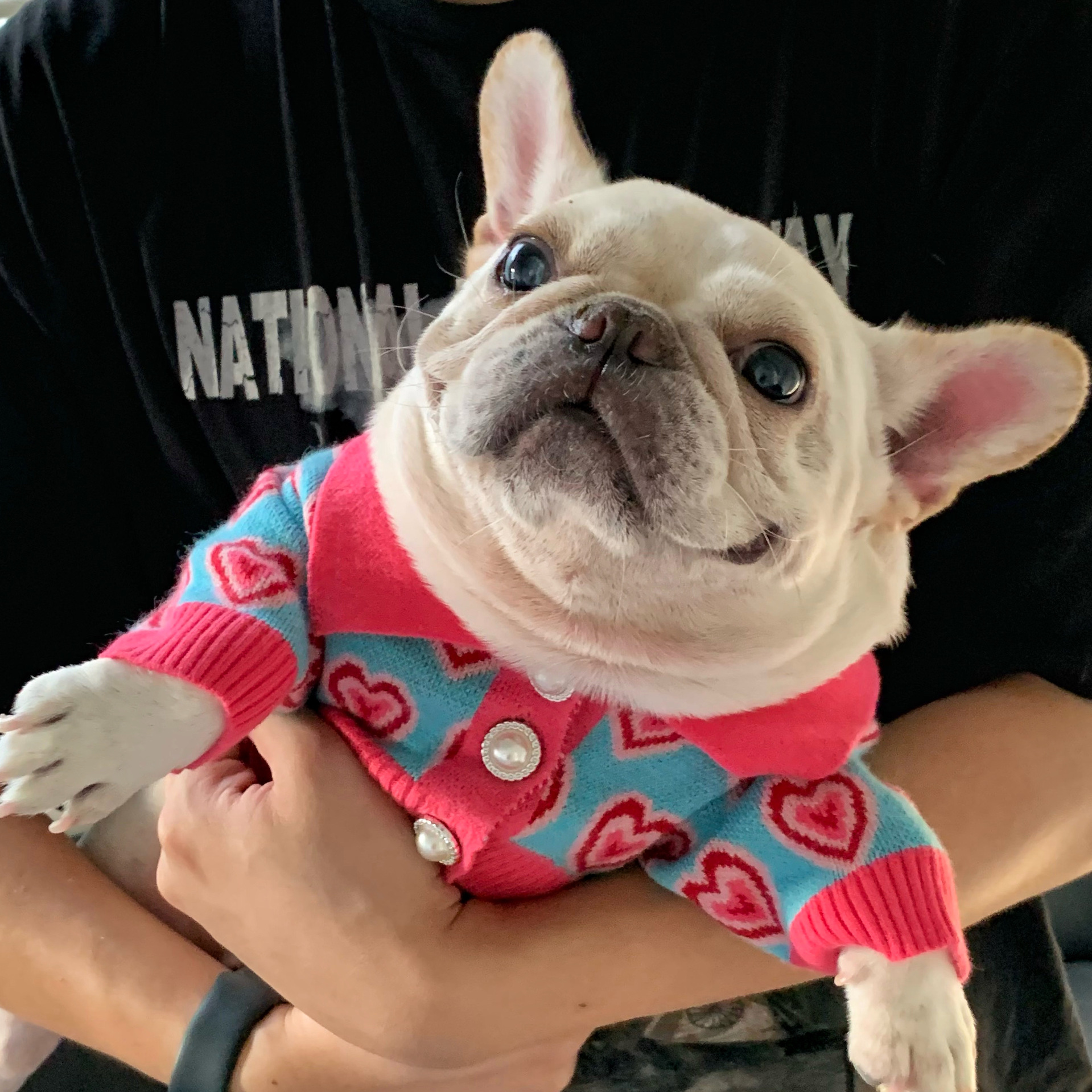 free shipping Sweaters Valentines Day Red Heart Winter Dog Apparel Puppy Sweater Warm Soft Pet Holiday Clothes for Small Cats and Dogs French Bulldog 