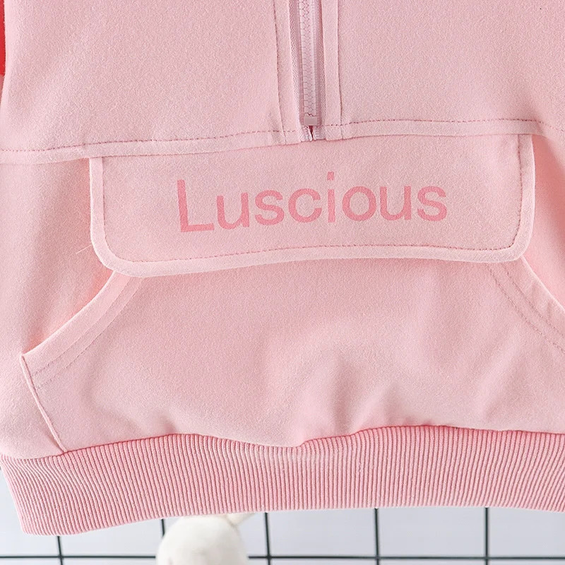 Spring Autumn Baby Girl Clothes Children Casual Jacket Pants 2PcsSets Toddler Sports Costume Infant Outfits Kids Tracksuits 240113