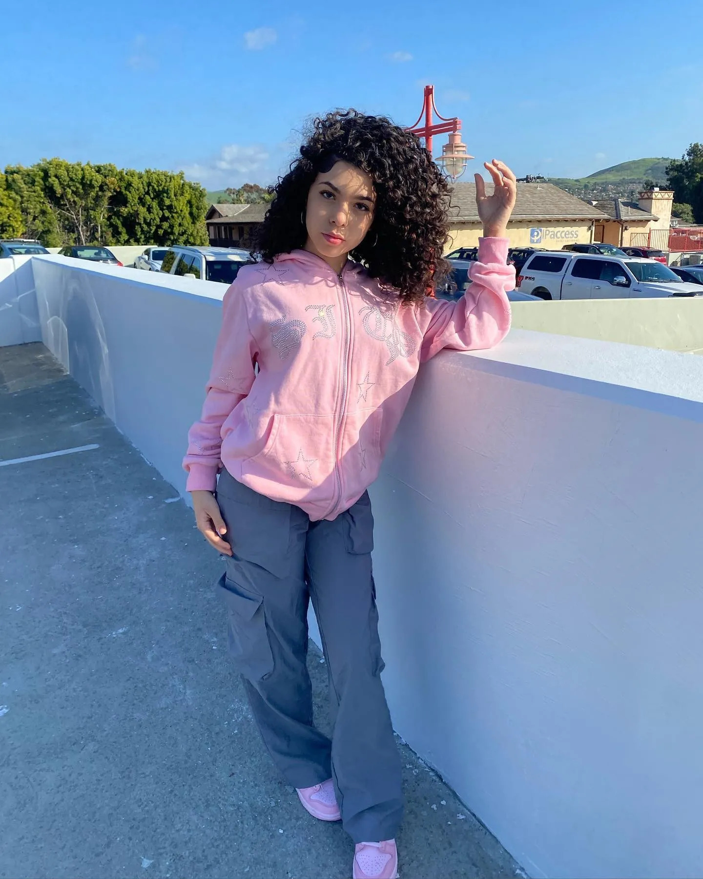 Y2K Rhinestone Zip Up Oversized Sweatshirts of Women autumn Goth Hoodies Pink Hooded Jacket Streetwear clothing 240115